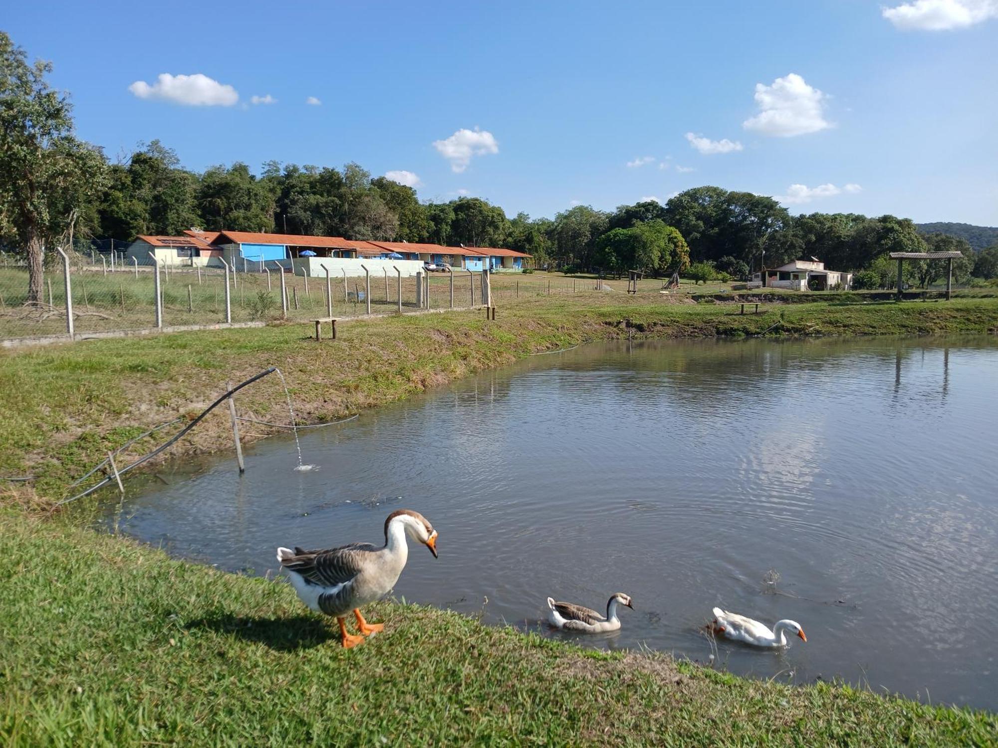 Hotel Fazenda Recanto Do Monte Alegre Piraju Eksteriør billede