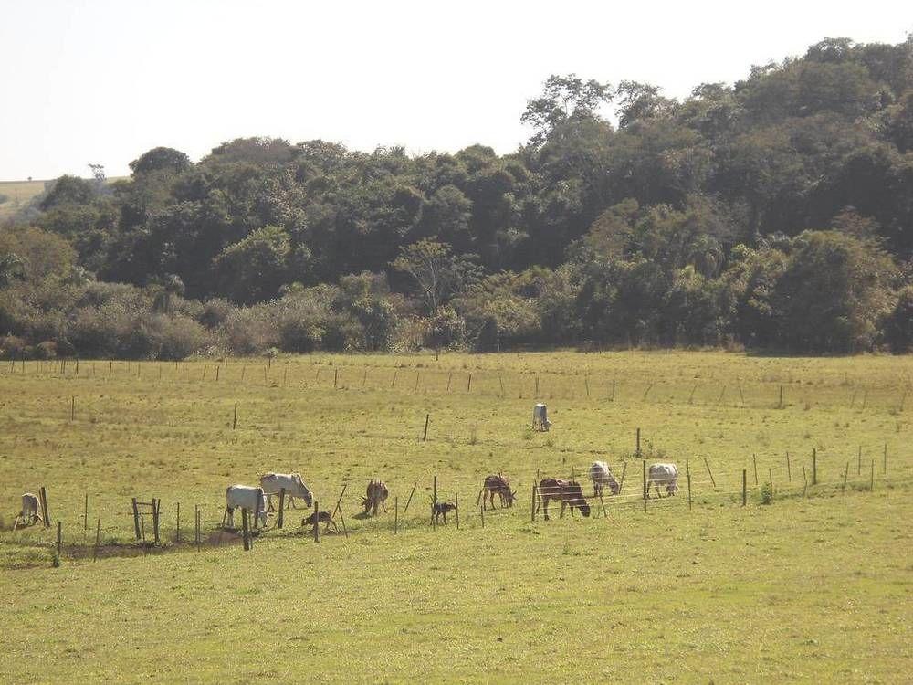 Hotel Fazenda Recanto Do Monte Alegre Piraju Eksteriør billede