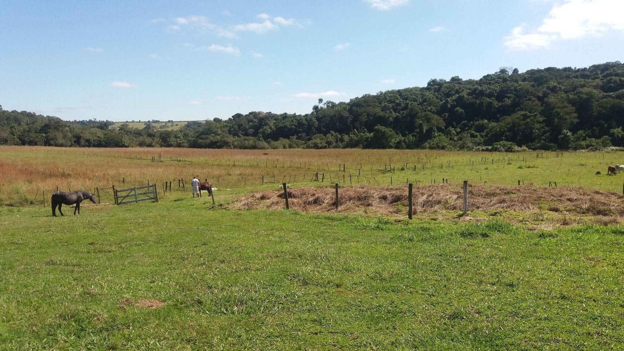 Hotel Fazenda Recanto Do Monte Alegre Piraju Eksteriør billede